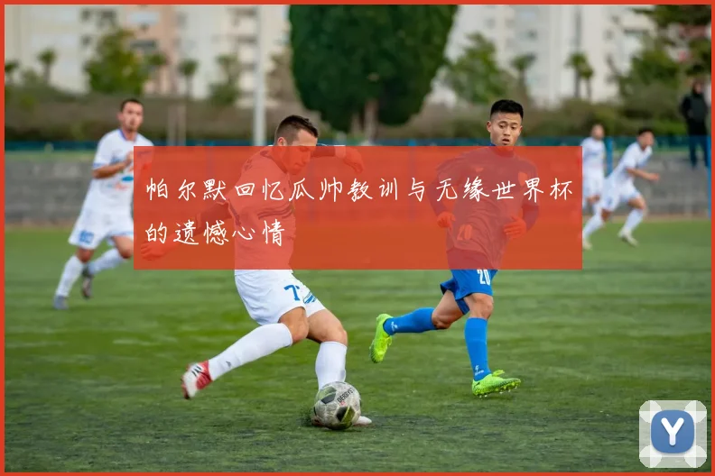 帕尔默回忆瓜帅教训与无缘世界杯的遗憾心情
