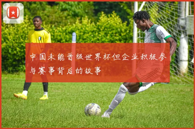 中国未能晋级世界杯但企业积极参与赛事背后的故事